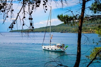 Blue Lagoon Half Sailing Cruise Halkidiki Sithonia (5 hours)