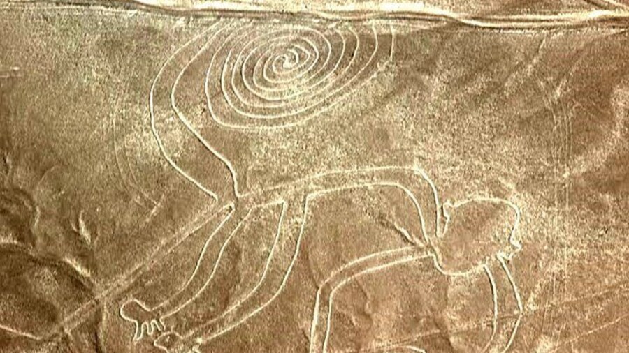 From Lima: Full Day Paracas & Nazca lines tour