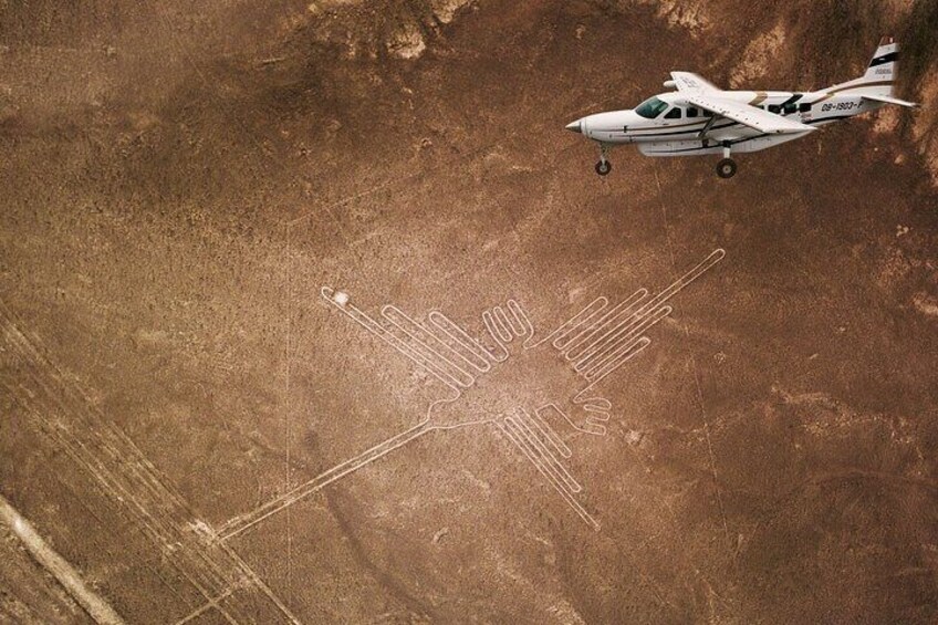 From Lima: Full Day Paracas & Nazca lines tour