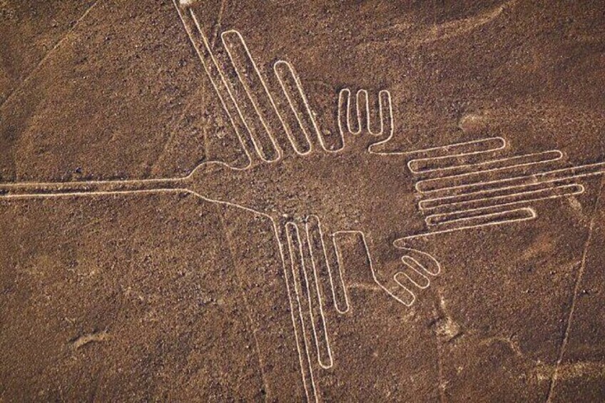 From Lima: Full Day Paracas & Nazca lines tour