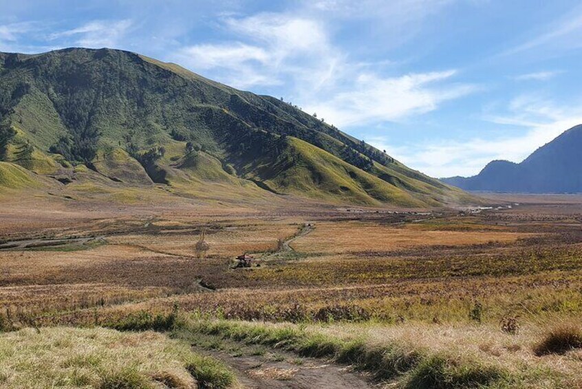 1Day - Bromo Non Sunrise Tour via Malang (to avoid crowd)