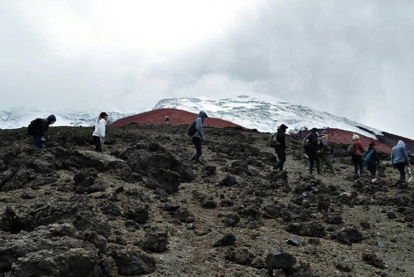 Cotopaxi National Park Tour: Hiking and Downhill Bike All Inclusive