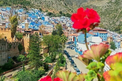 Excursión privada a Chefchaouen desde Tánger¡un día completo! 