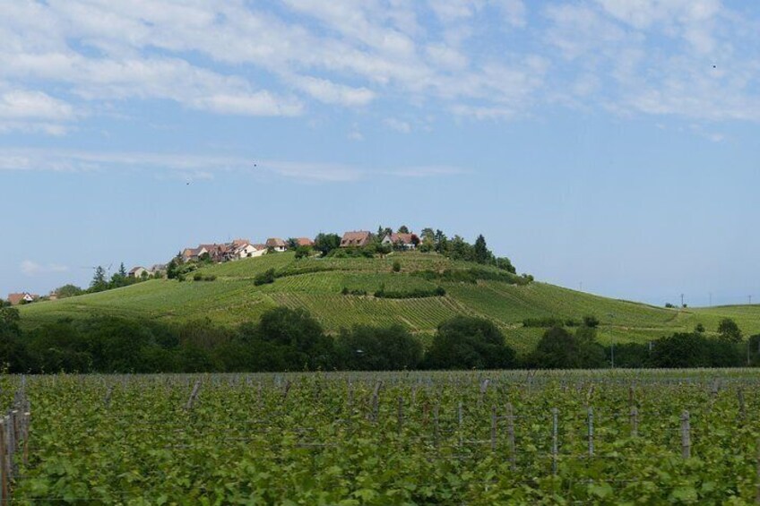 Day trip: Ribeauvillé, Riquewihr, Kaysersberg, Eguisheim