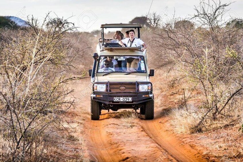 2 Days Tsavo east with 4x4 Safari Jeep