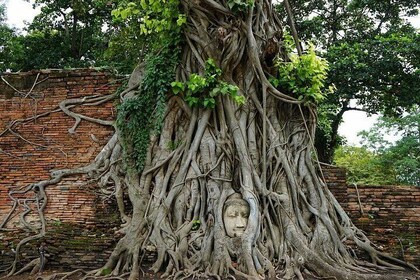 Discover UNESCO World Heritage Sites - Ayutthaya to Khao Yai National Park