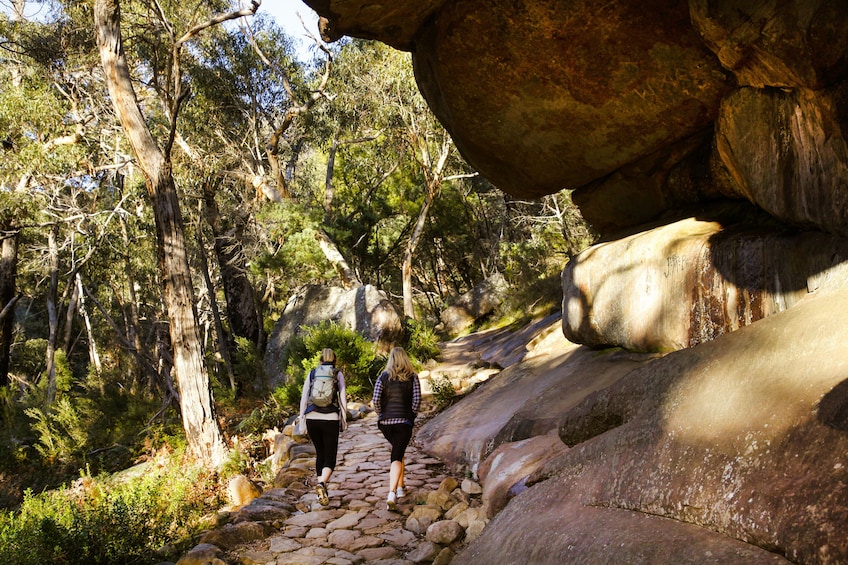 Small Group Grampians National Park & Kangaroo Trek