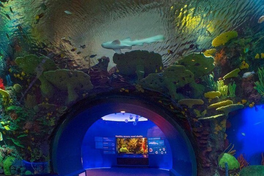 New York Aquarium Admission Ticket