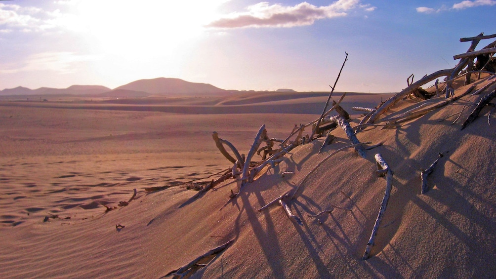 Sand dune in Lanzarote