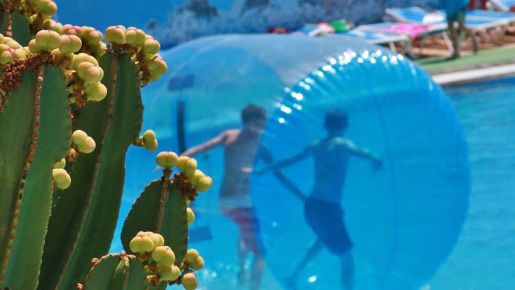 kids treading on the water in a giant inflatable ball in West Africa