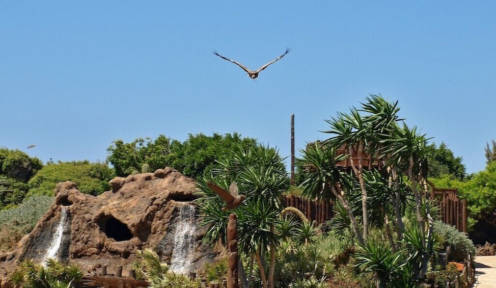 Rancho Texas Lanzarote Park Admission