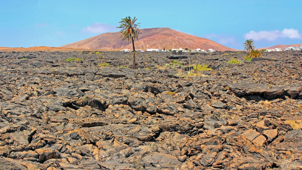 Hiking on old volcanic rocks in Lanzarote