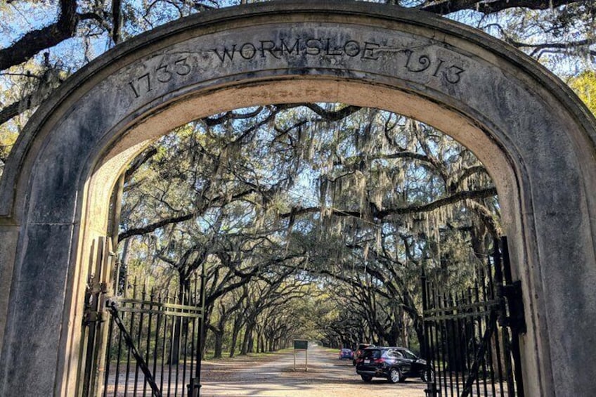 Savannah VIP Tour: Private Full-Day Tour
