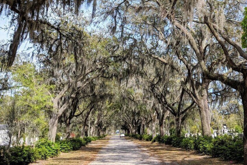 Savannah VIP Tour: Private Full-Day Tour