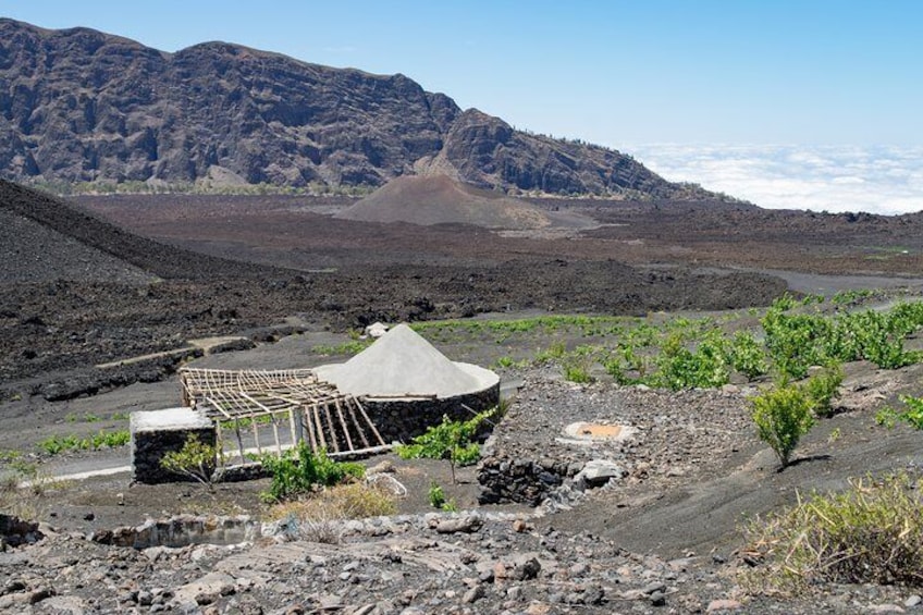 Descent of the Volcano