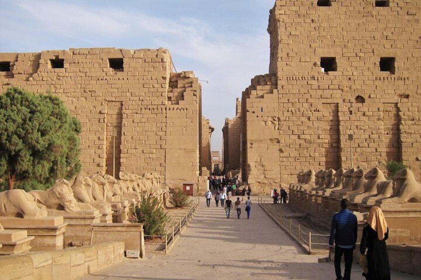 Luxor day tour from El Quseir
