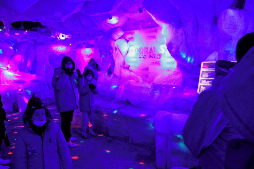 Combo Tour - Iguassu Falls and visit to the Wax Museum, Ice Bar and Dinosau