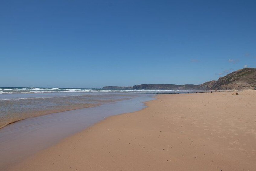 Full Surf Day at West Coast