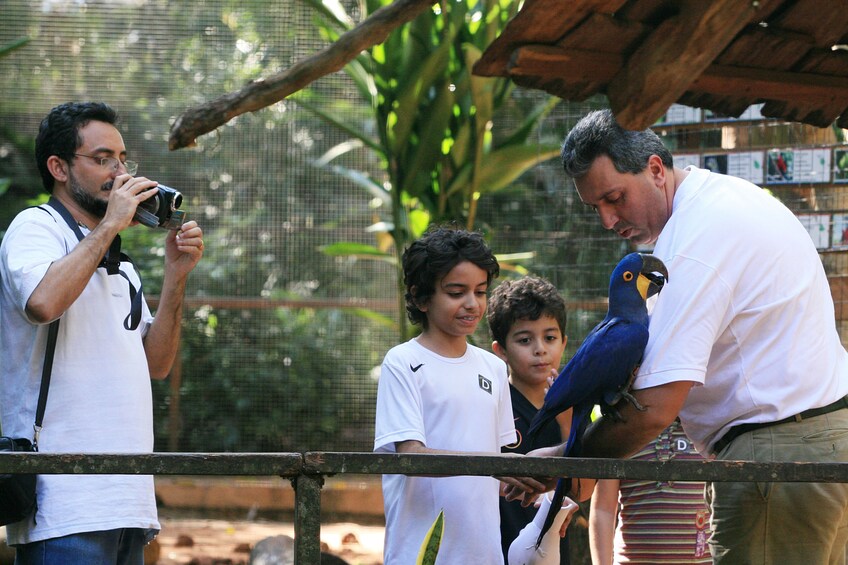 Cargar ítem 5 de 9. Bird Park
