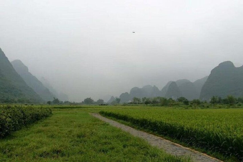 Guilin Private Tour with Reed Flute Cave,Bamboo rafting+Explore Yangshuo by Bike