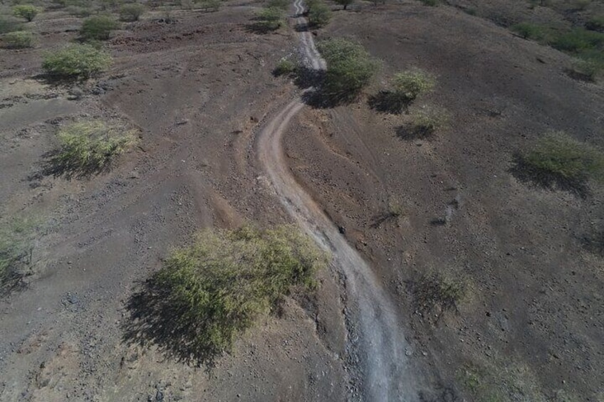 Hiking path