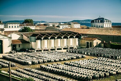 VIP tour of the cellars and wine and vermouth tastings