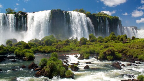 Tur Air Terjun Iguazu & Taman Burung di Brasil