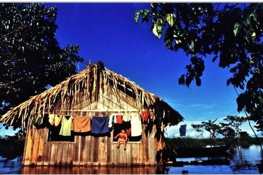 ECO Tourism Alter do Chão - Selvagem Tours