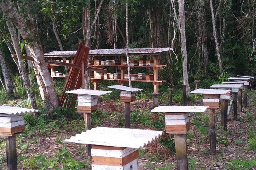 ECO Tourism Alter do Chão - Selvagem Tours