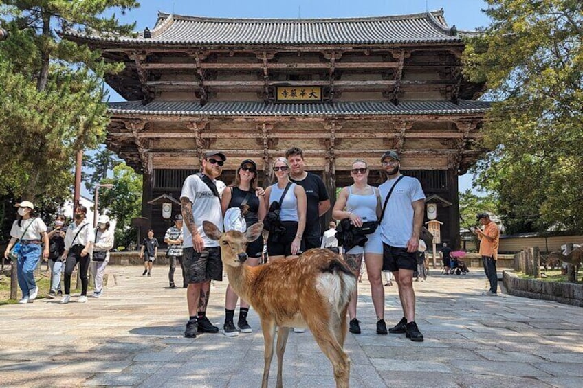 Nara - Private Family Bike Tour