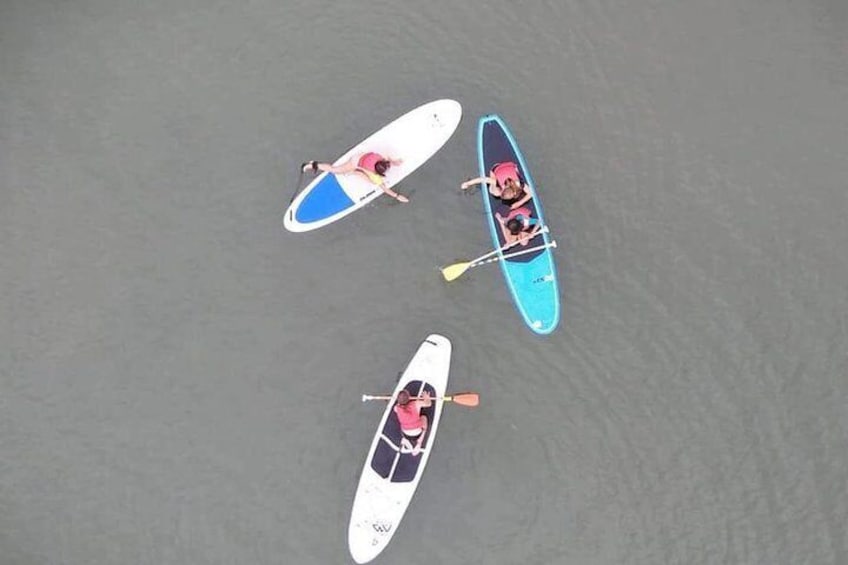 Rental of boards and stand up paddle lessons