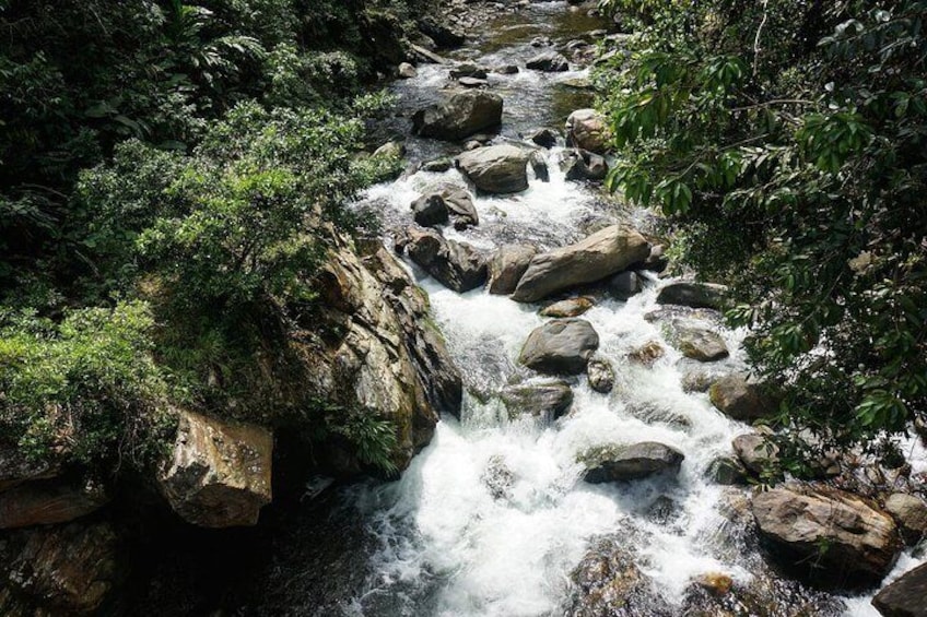 Walk for 4 days to Ciudad Perdida, Santa Marta