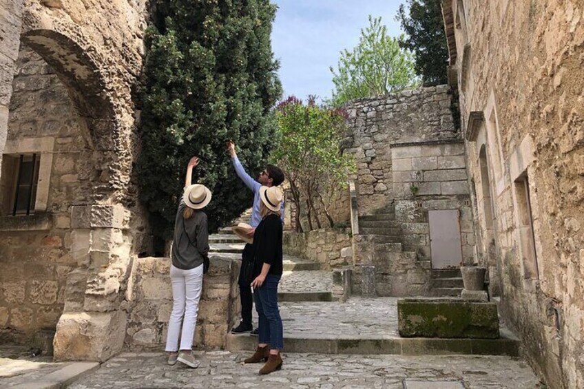 Avignon, St Rémy, Les Baux de Provence & Pont du Gard