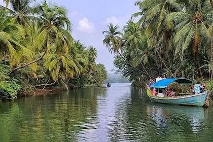 Kumarakom Explore Backwaters & Birds at Coconut Lagoon Pick&Drop