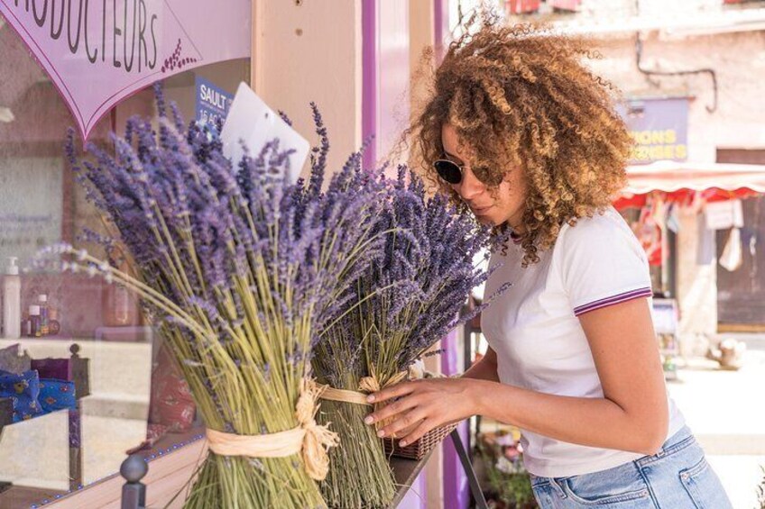 Provence Lavender Small Group Half-Day Trip