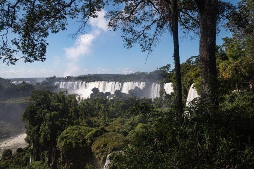 Iguazu Falls, Jungle Activities and Boat Ride from Puerto Iguazú