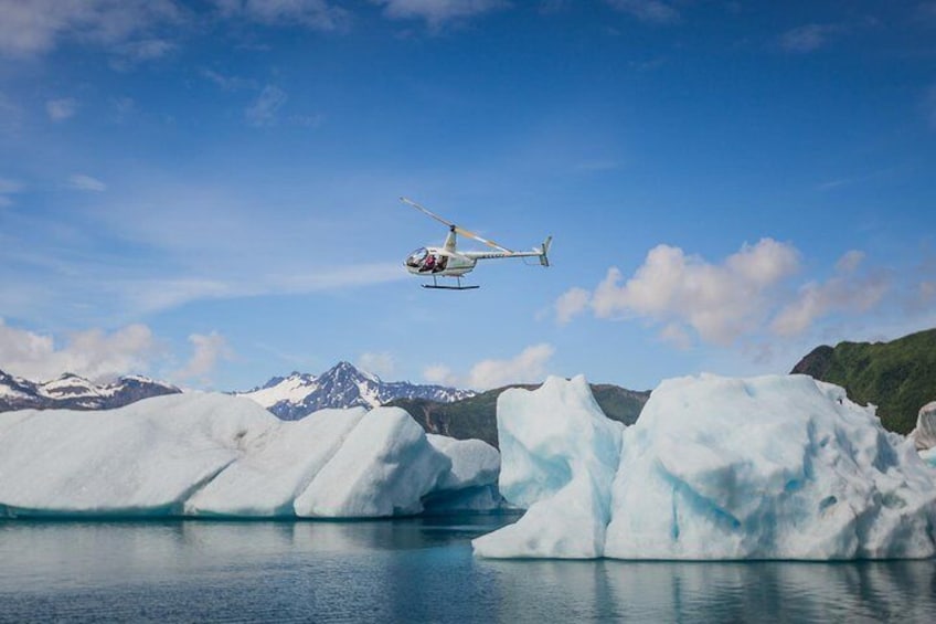 Hover over icebergs!