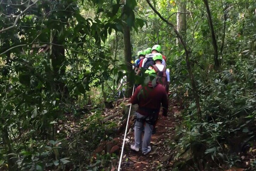 Jungle Fly: Zip Line, Rappel and adventure in Iguazu Falls Area