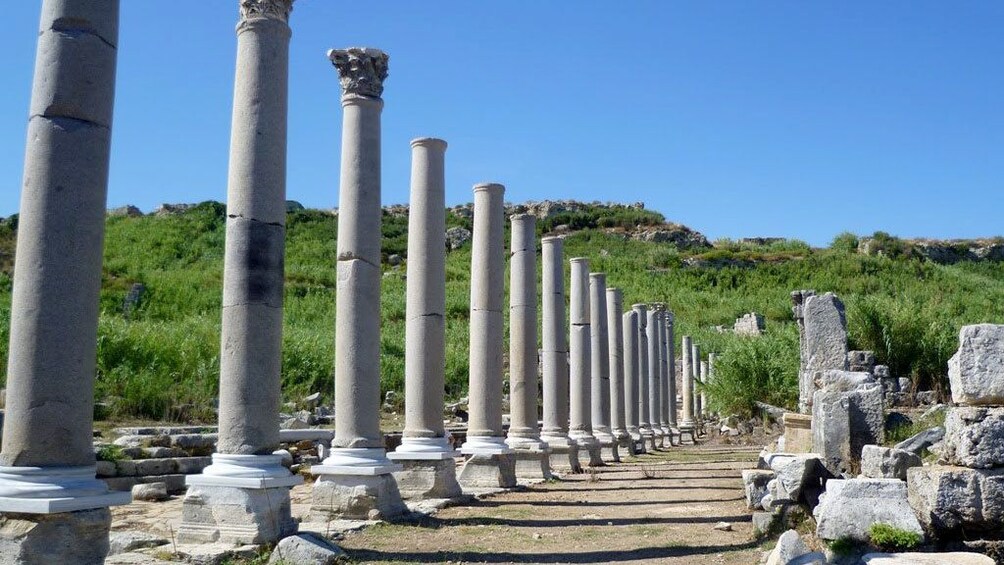 Show item 3 of 5. Columns line a pathway in Perge