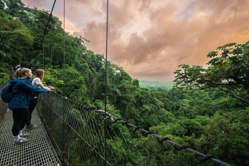 Hanging Bridges Twilight Walk in Arenal Volcano