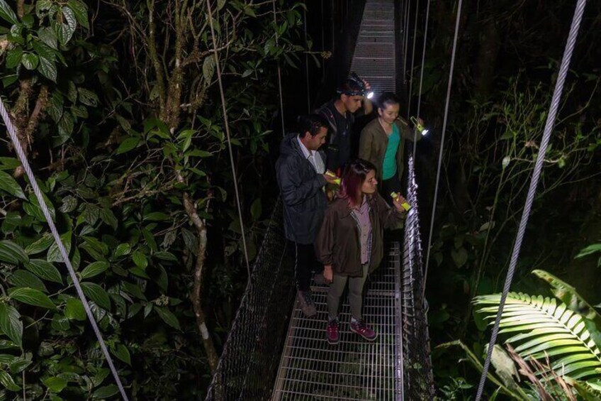 Walk the Hanging Bridges by night