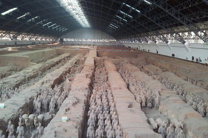 Terra Cotta Warriors