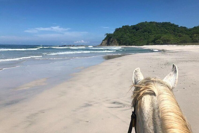 Safari & Barigona Beach on horseback