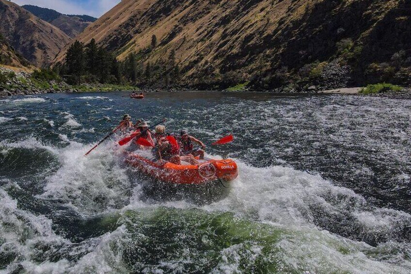 Riggins Idaho half-day rafting trip on the Salmon River