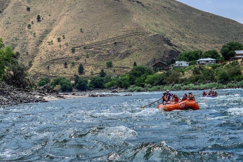 Riggins Idaho half-day rafting trip on the Salmon River