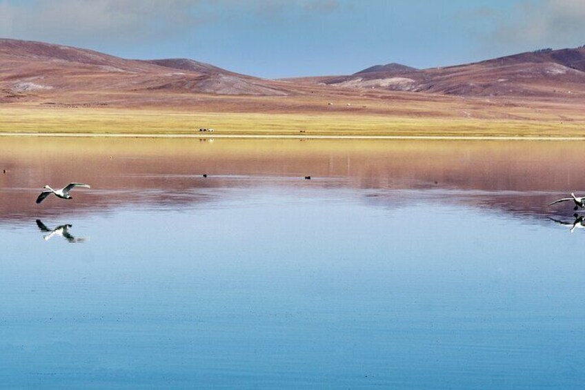 The Jewels Of Mongolia