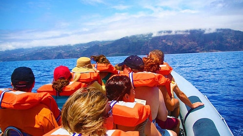 Whale-Watching Tour & Dolphin Encounter
