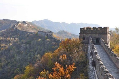 Private Classic China Tour: Shanghai, Xian and Beijing 7Days/6Nights