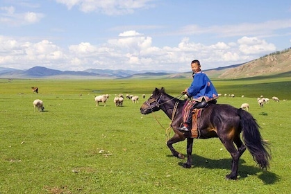 Chinggis Khaan, Terelj & Ger Under the Stars: 2-Day Tour