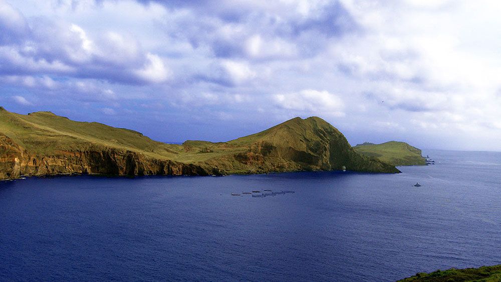 Beautiful Bays Discovery Cruise with Lunch